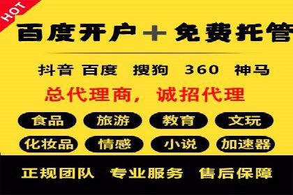 竞价广告案例分享：XX电商平台的成功秘诀